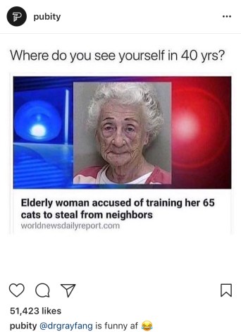 65 cats