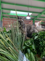 6mh8xmhftk+0rpyoceuaca