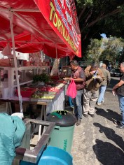 txro54nhrcwzpnoz81cflw