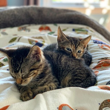 1FC2571C-1F20-4546-91AC-18067F18529A