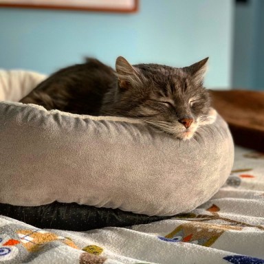 595DCB27-13CD-456F-A237-D31BDA33A8E9